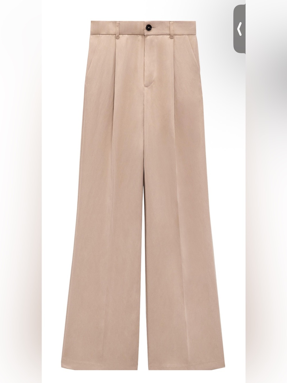 Zara full length pants